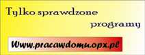 www.pracawdomu.opx.pl